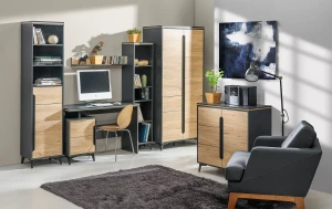 Komoda 150 cm z szufladami Gappa 06 Grafit/Jesion