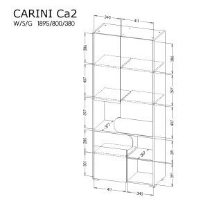 Szafa Carini CA2 Dąb Nash/Biały Brylantowy/Grafit