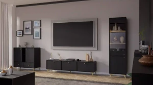 Szafka RTV stojąca  Sakai 1 2K T302 Czarny