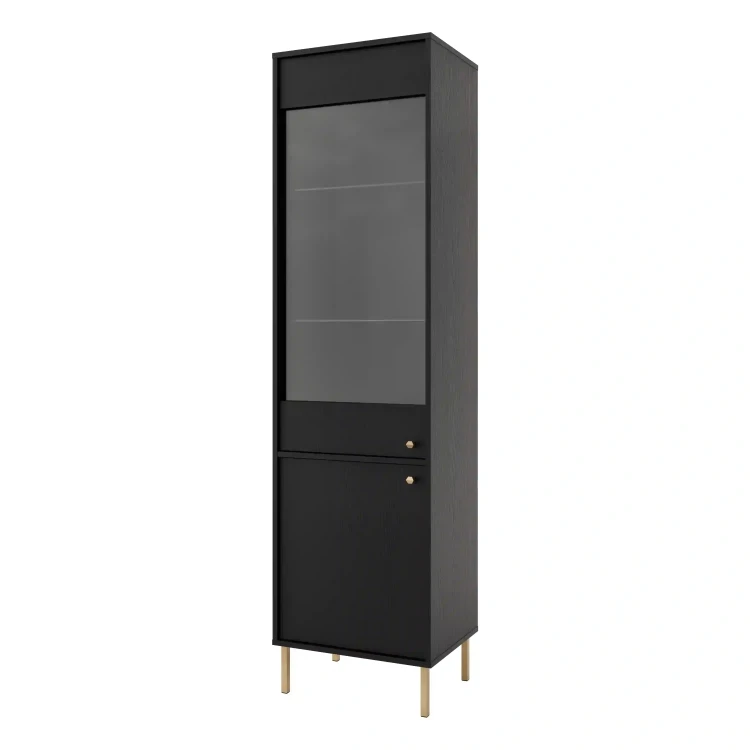 Witryna szklana  Sakai 2 2F T101 Czarny