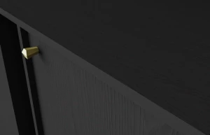 Komoda dwudrzwiowa  Sakai 3 2F T822 Czarny