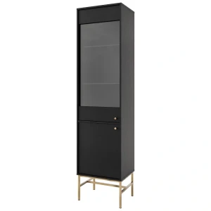 Witryna szklana  Sakai 3 2F T101 Czarny