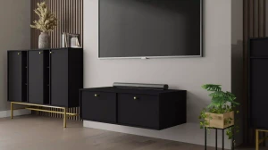 Szafka RTV wisząca  Sakai 4 2K T302 Czarny