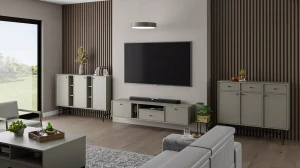 Szafka RTV wisząca  Sakai 4 2K 1S T313 Eukaliptus