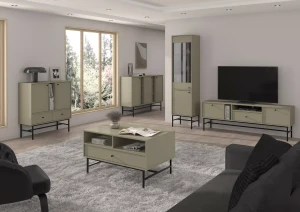 Szafka RTV stojąca  Sakai 3 2K 1S T313 Eukaliptus
