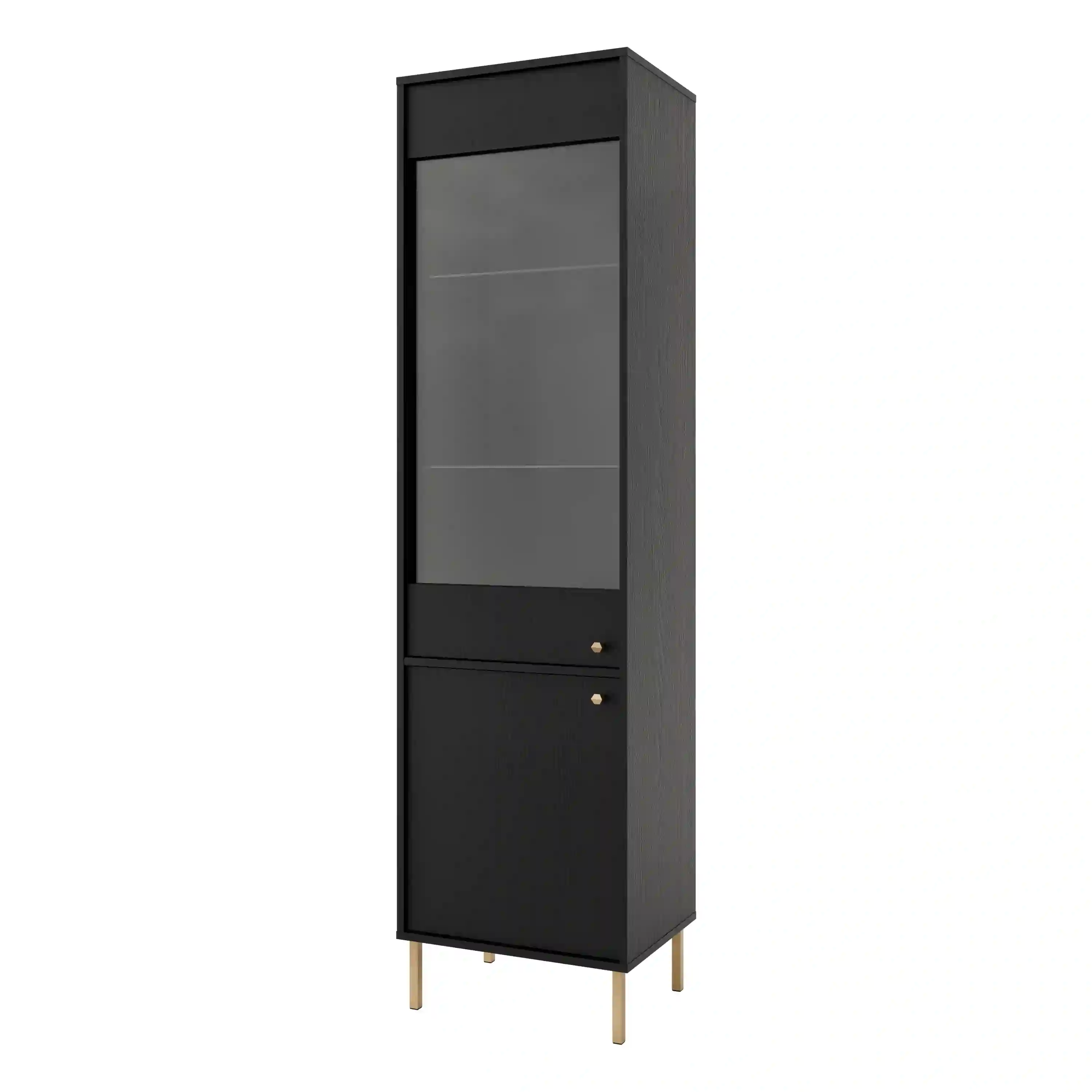 Witryna szklana do salonu Sakai 2F T101 Czarny